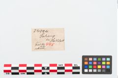 Etikett zu Eisengriffdornmesser (NHMW-PRAE-024994)